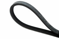 Dryer Belt for Frigidaire Kenmore Sears 5303161099 5300639357 AP2137081 PS454127