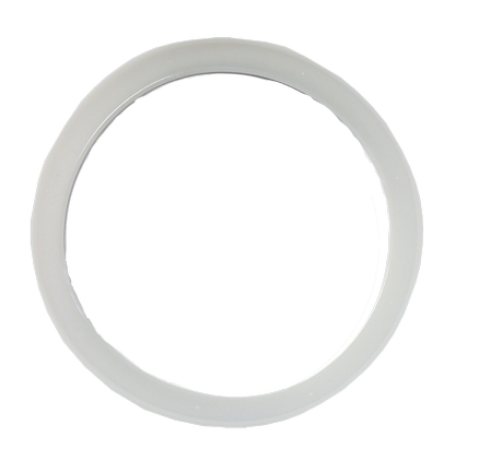 Snubber Ring LP2026 ERP LP2026