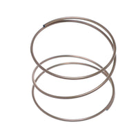 Bertazzoni 306002 Spring For Knob