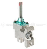 GE WB21K10170