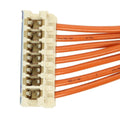 FPA-818600