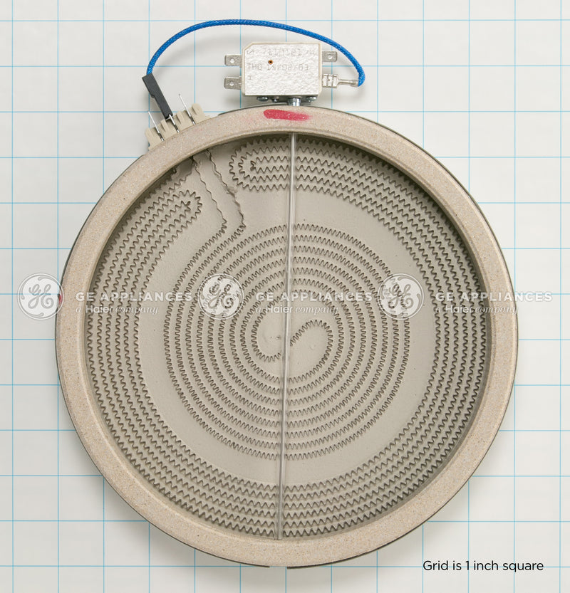 GE WB30T10099