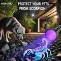 UV Flashlight Black Light for Dog Urine, Pet Stains and Bed Bug, 51 LED 395 Nm