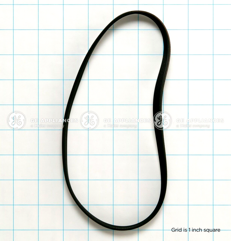 ✅OEM GE WH01X24697 Drive Belt  290d1101p003