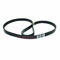 ✅OEM GE WH01X10302 Washer Drive Belt 175D5131P003