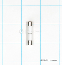 ✅OEM GE WB27X10388  Microwave Fuse WB27X10388