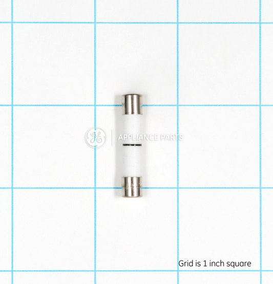 ✅OEM GE WB27X10388  Microwave Fuse WB27X10388