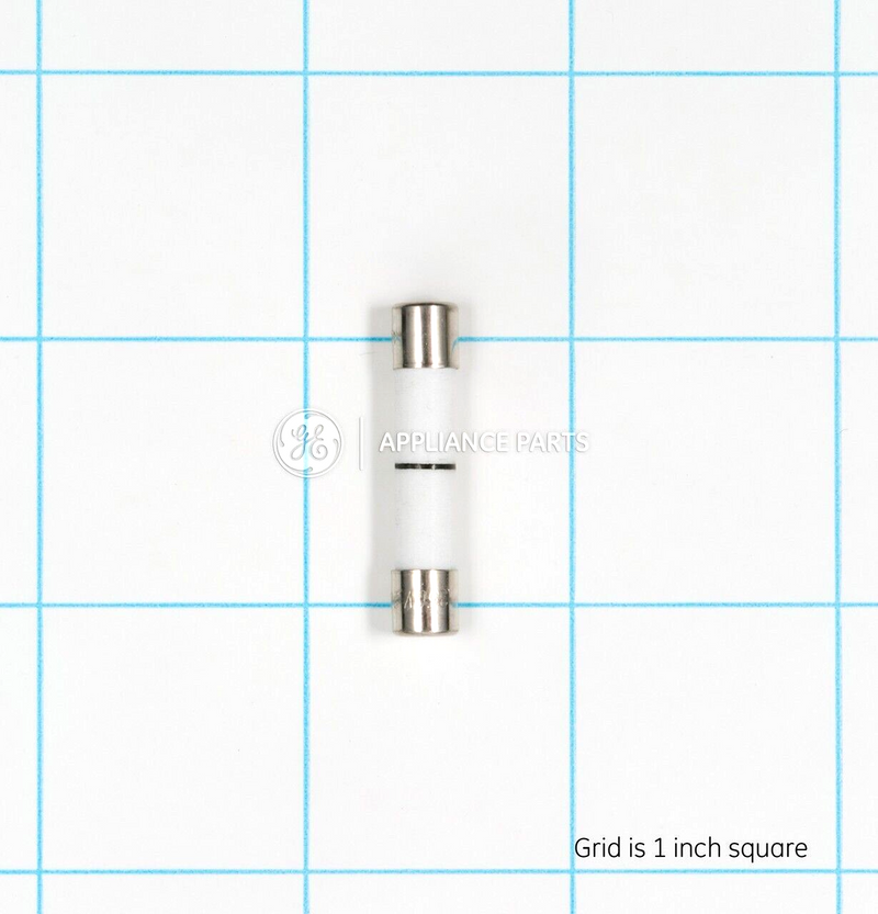 ✅OEM GE WB27X10388  Microwave Fuse WB27X10388