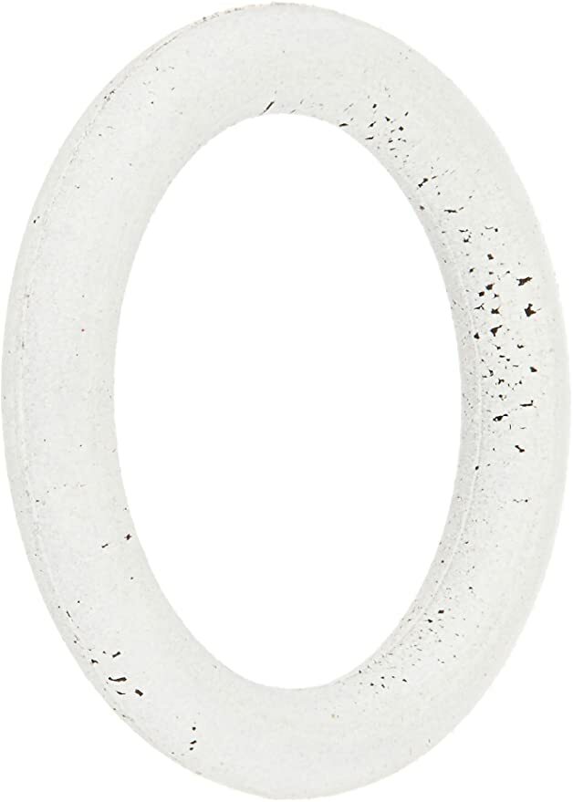 ✅OEM GE WE1M461 Dryer O Ring