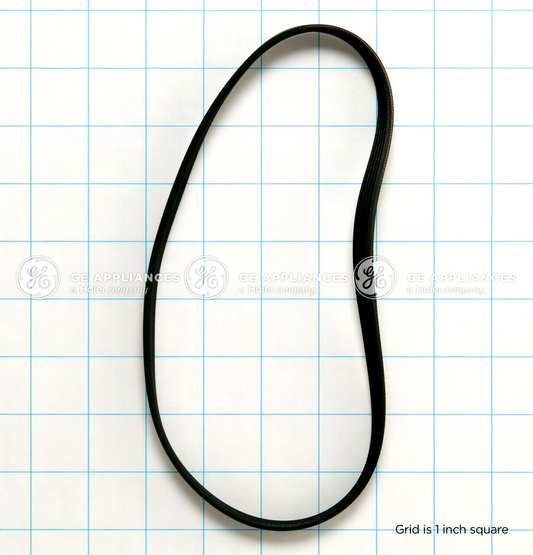 ✅OEM GE WH01X24697 Drive Belt  290d1101p003