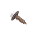 WP3400836 Whirlpool Screw Fits Maytag KitchenAid Back View