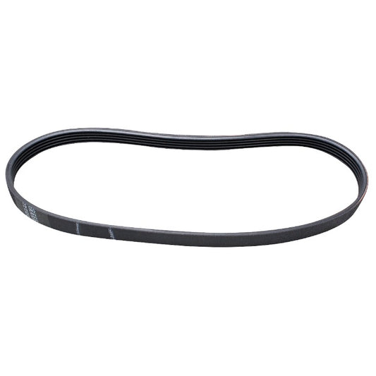 ERP W10006384 Washer Belt