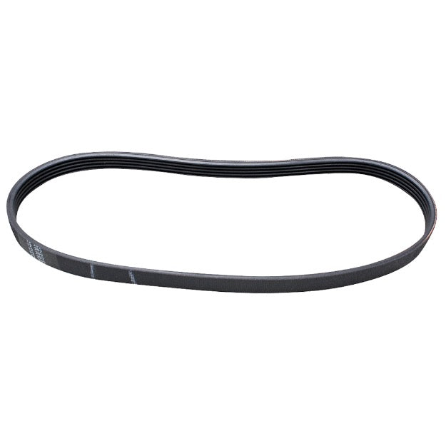 ERP W10006384 Washer Belt