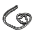Samsung DC97-07618A Dryer Drum Seal - Back View - Genuine OEM Part